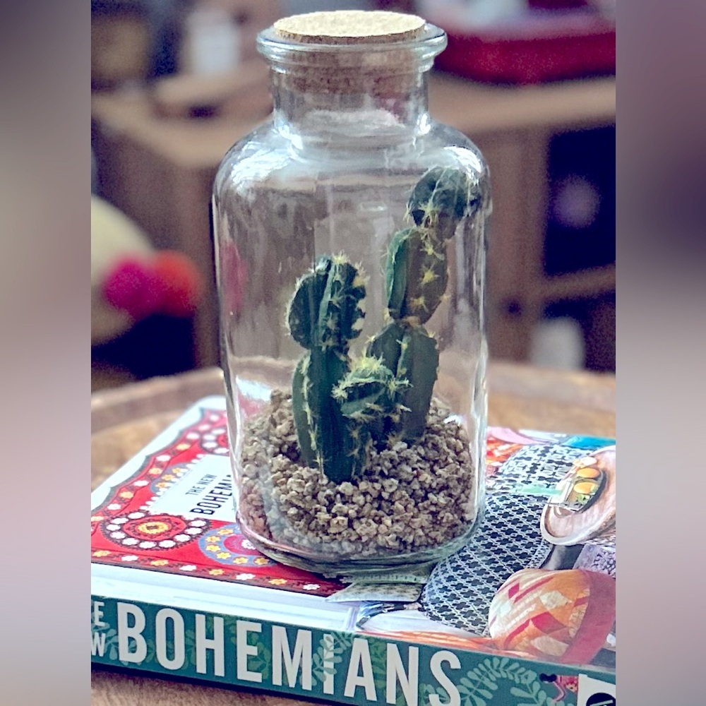 Michaels boho cactus glass terrarium